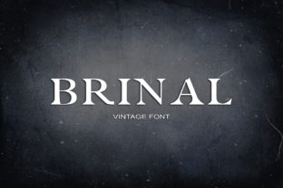 Brinal Font: A Playful Serif for Modern Web Design