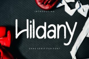 Hildany Font: A Cheerful Typeface for Real-World Branding