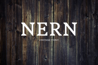 Nern: A Cool Serif Typeface for Digital Design