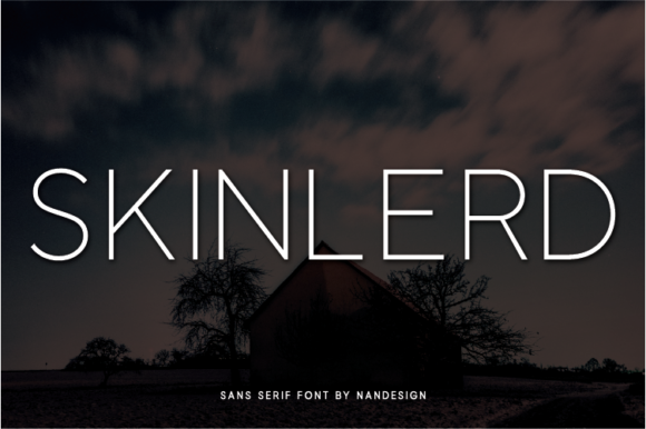 Why Skinlerd Is a Must-Try Sans Serif Font for Campaign Design