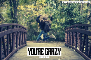 You re Crazy: A Casual Sans Serif Font for Editorial Design